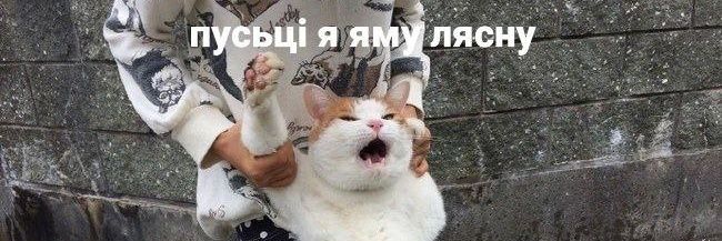 barti_a's profile banner image