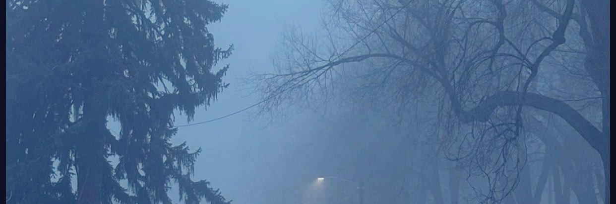 ladydidi banner