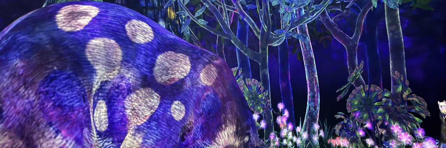 Paula 💚🤍💜 banner