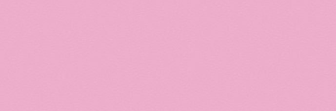 🦑がわし banner