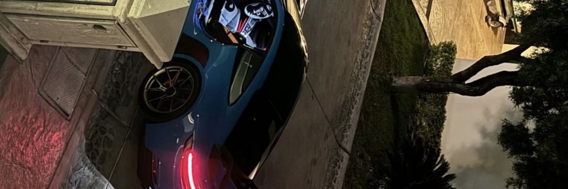 El pantera banner