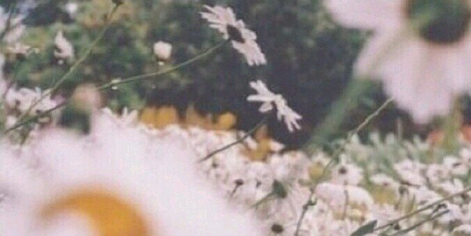 itsgeorgia_'s profile banner image