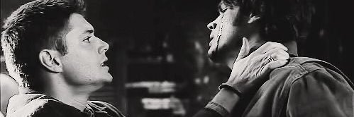 dale banner