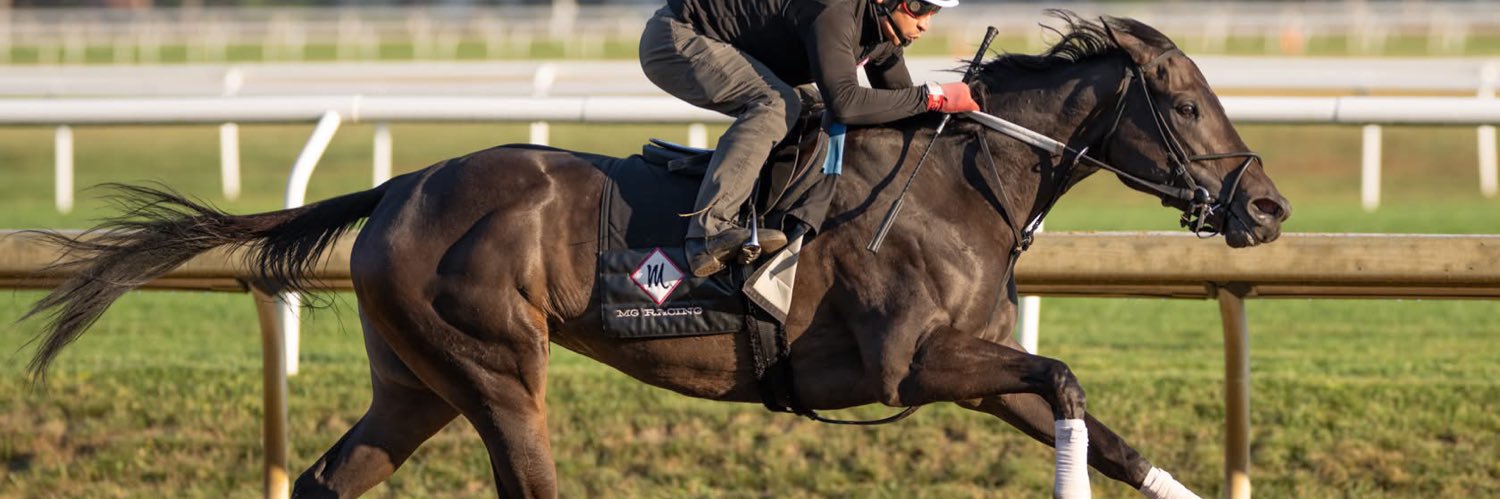 Elizabeth Madden banner
