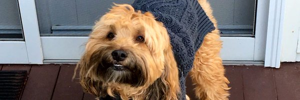 FrameMaker Profile Banner