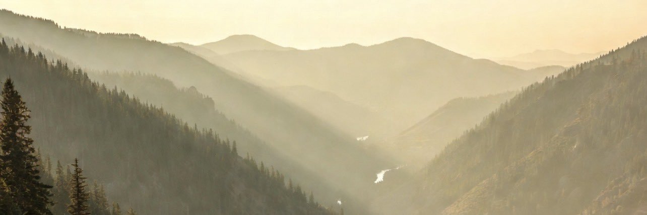 Mr Rabbit ✝️🇺🇸 banner