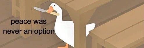 Nynn ❤️ 🇺🇦 banner