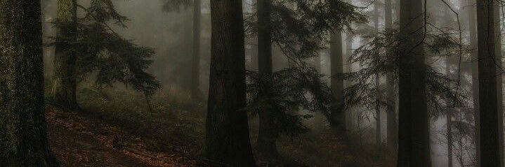 mika ৻ꪆ ( 2 / 10kg ) banner