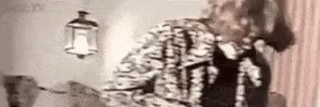 rodented1's profile banner image