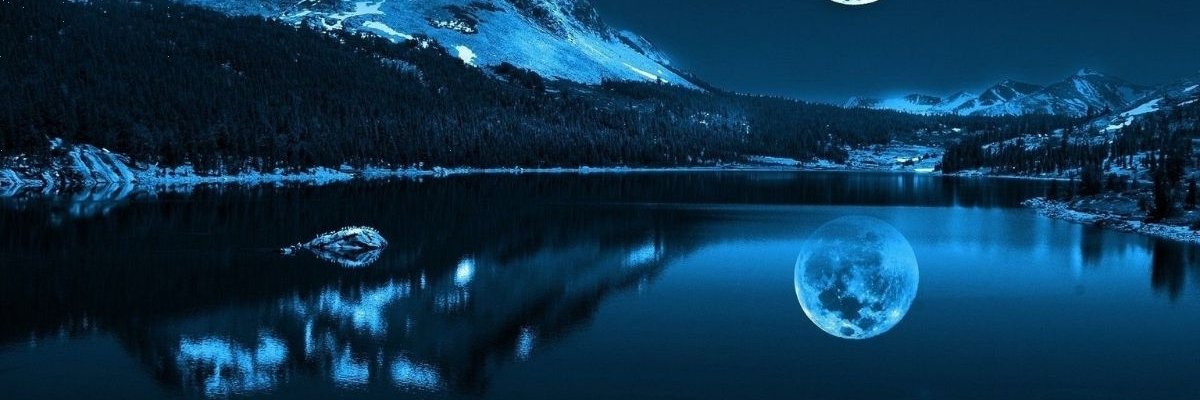 DaisyLaneil's profile banner image
