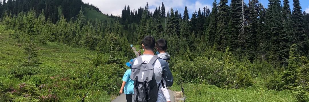 🔋 david 🔋 banner