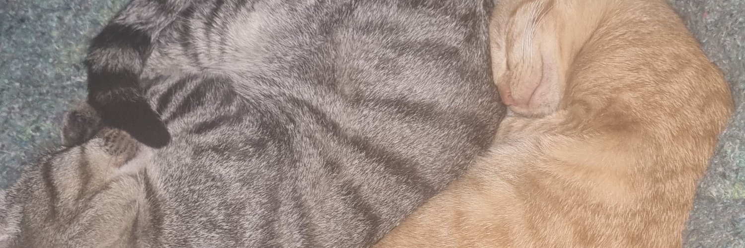 thefirstaxx's profile banner image