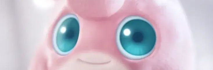 anything's priv banner