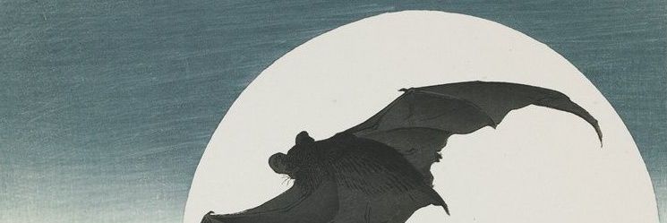 Steve Finesse banner