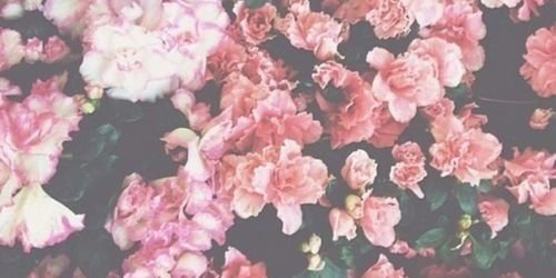 GabPadillaa's profile banner image