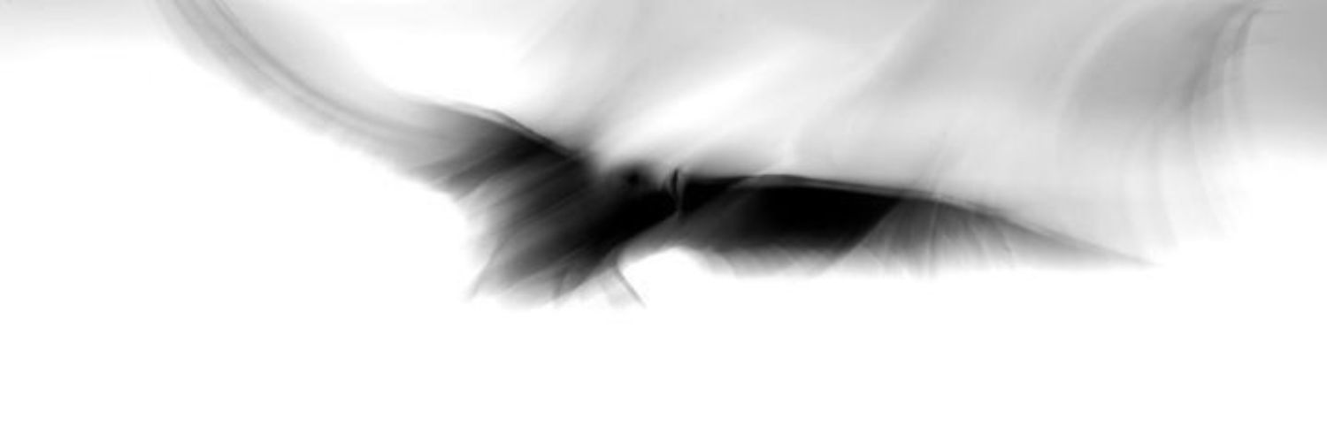 𝐅𝐉𝐎𝐑𝐃. banner