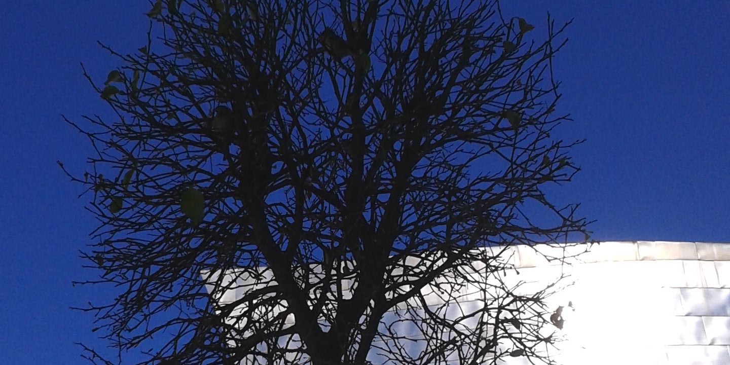 jmcambara's profile banner image