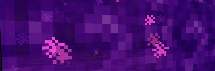 manisitaxx's profile banner image