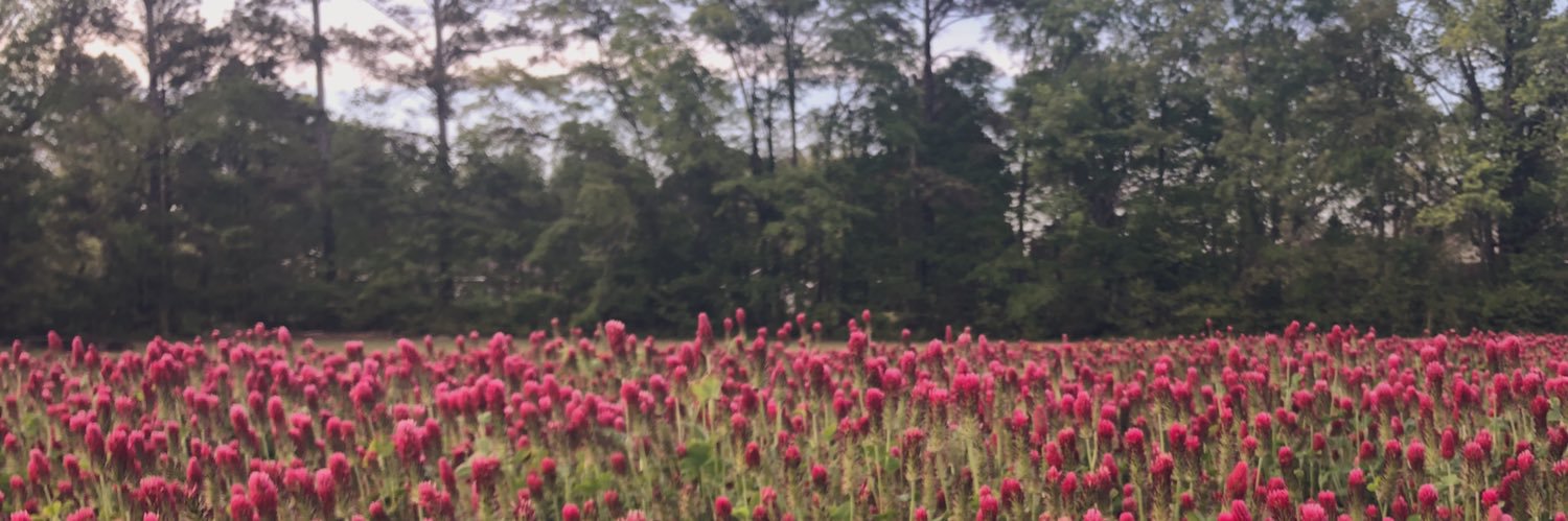 ashleytized's profile banner image