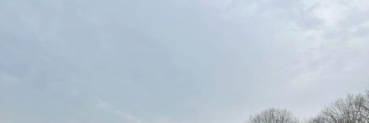 ini mal banner