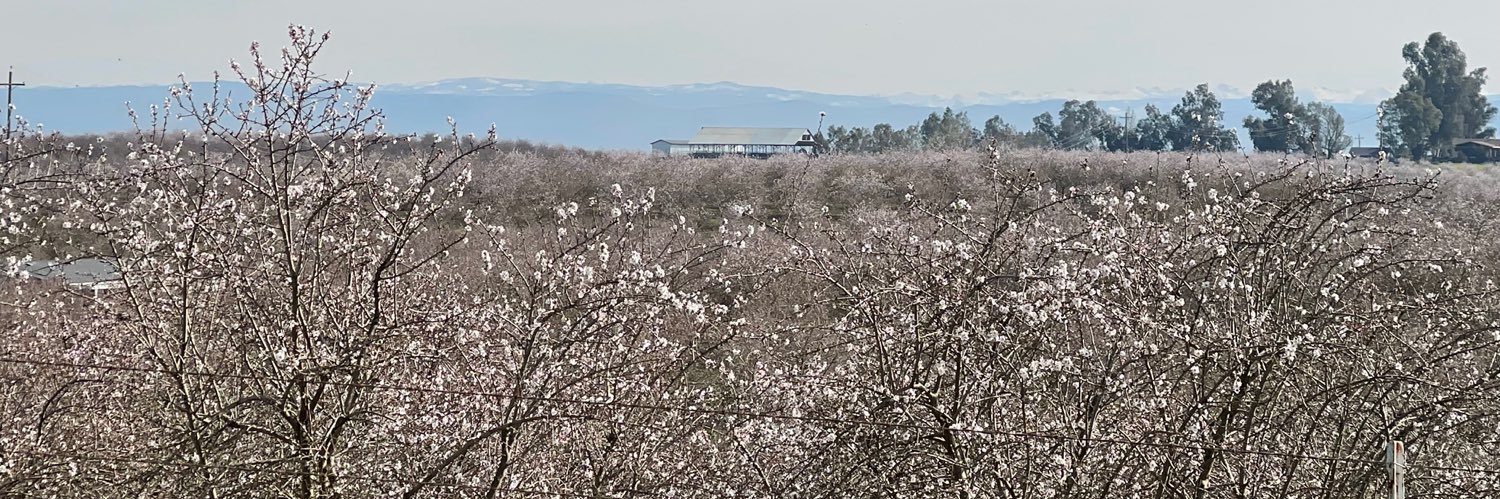 Jhalendra Rijal banner