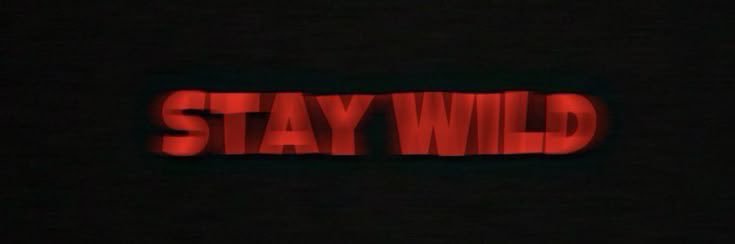 ; banner