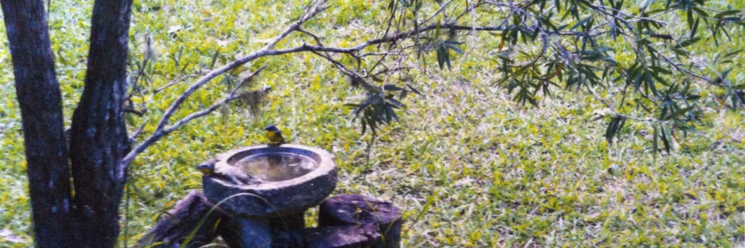 Kate Mackenzie banner