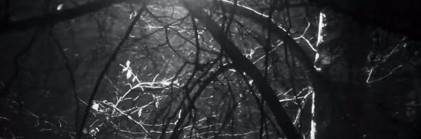 Papa Vads 🔞 banner