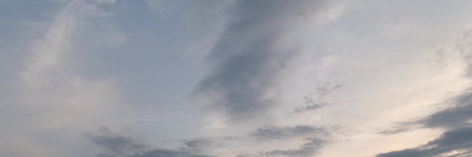 coolsyachiku's profile banner image