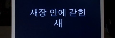 하유월 banner
