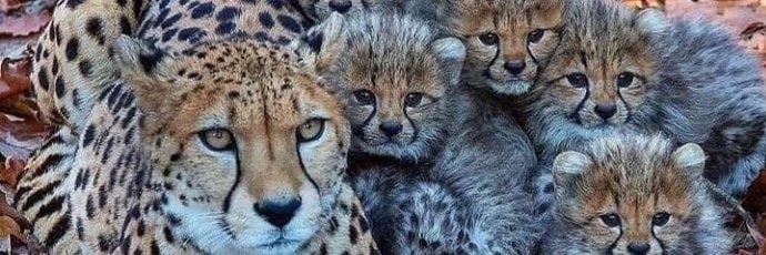 dm5281718's profile banner image