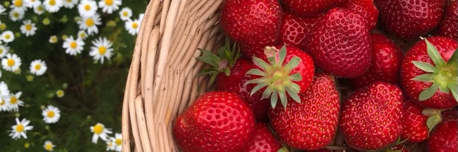 🍓 banner