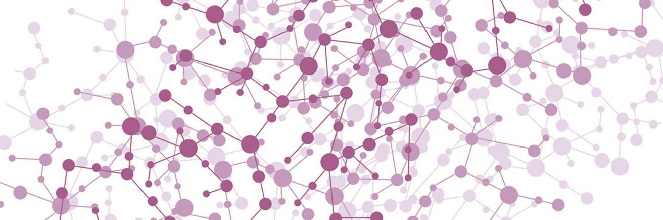 Dravet Syndrome Foundation Spain banner