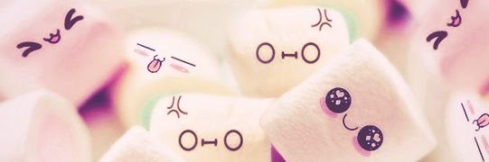 iso!! shtwt banner