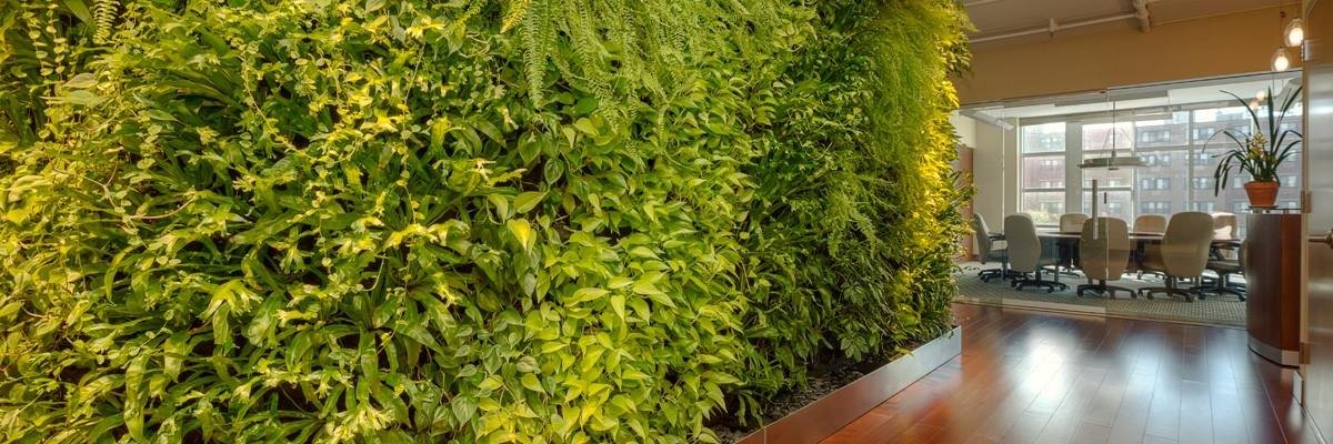 EcoChiTips's profile banner image