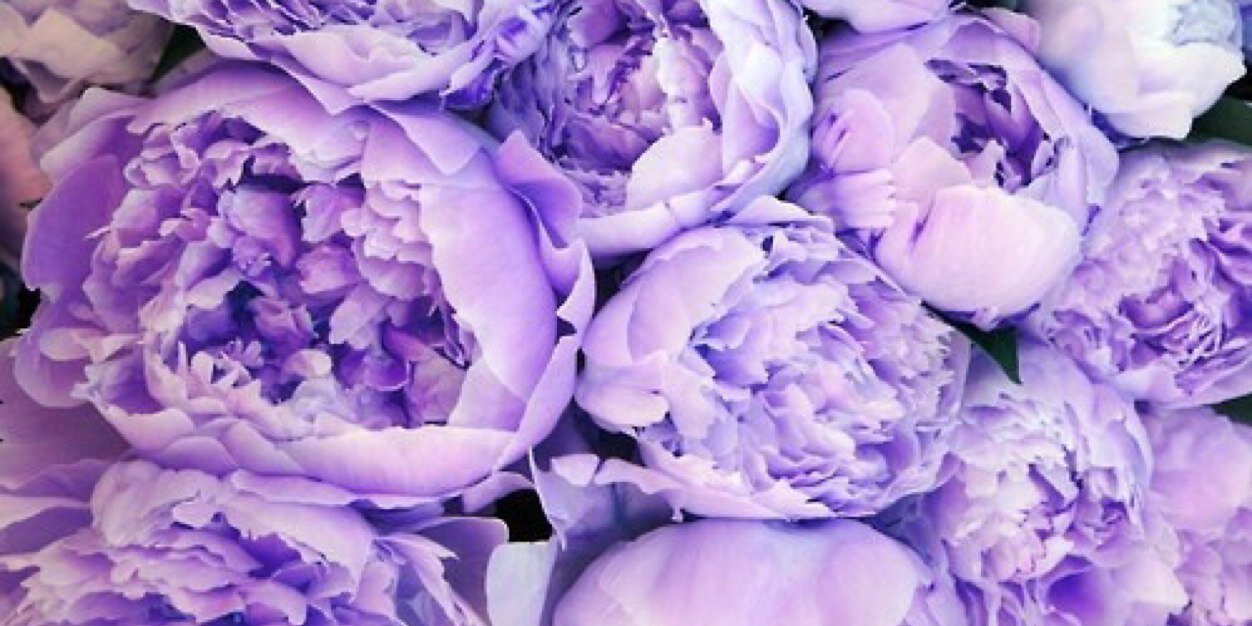 RebeccaVarty's profile banner image
