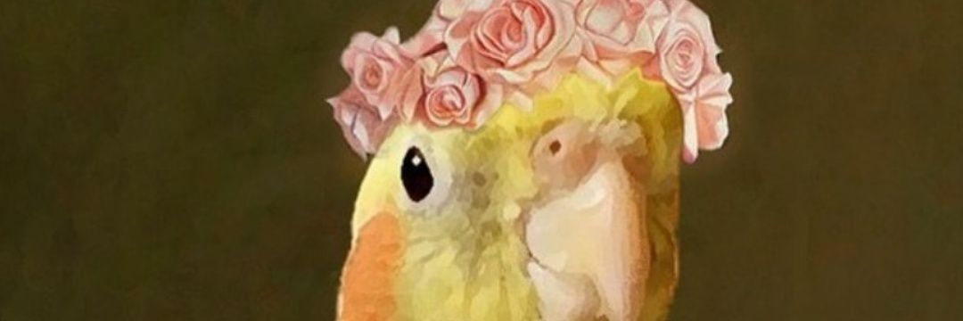 Laloncioo's profile banner image