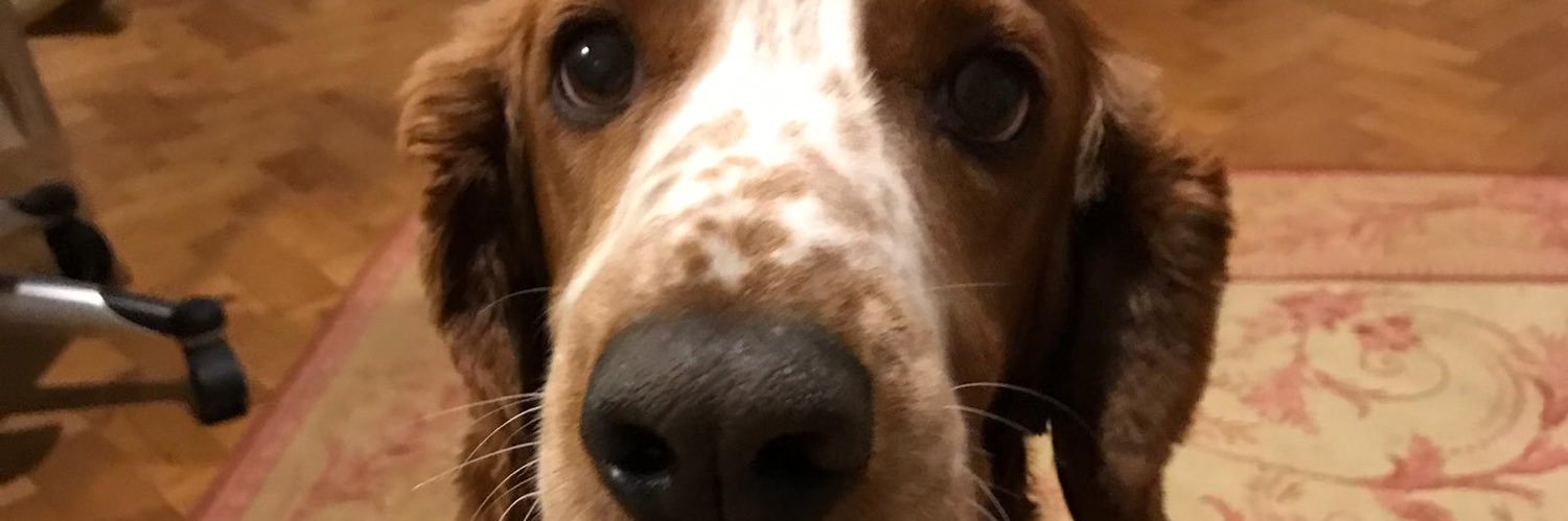 EvercreechBarry's profile banner image