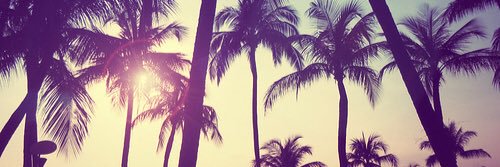emmareid327's profile banner image