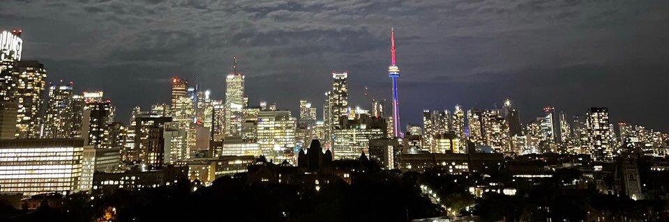 Christine Simpson banner