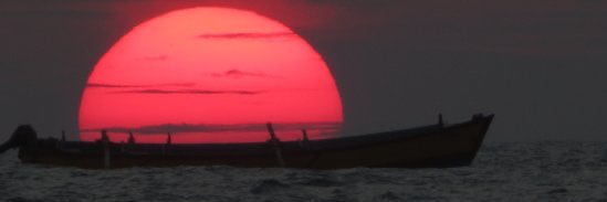 Numéro84 banner