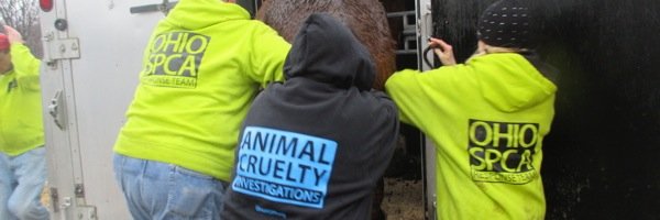 ohiospca's profile banner image