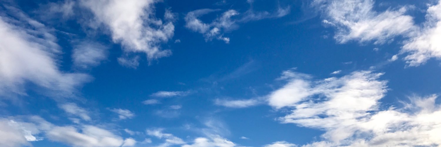 Shelbasauurus's profile banner image