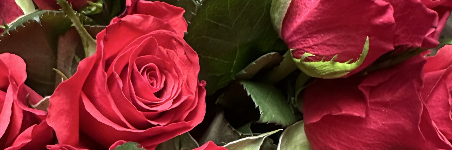 Indigoblu52's profile banner image