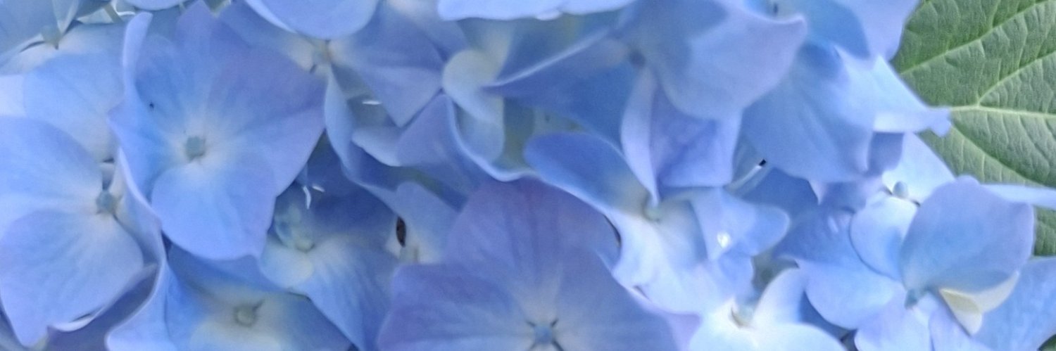 oleyycrursh's profile banner image