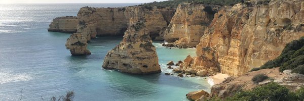 marianarambaldi Profile Banner