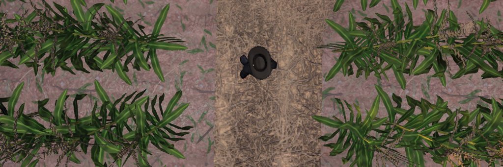 Cube Republic banner