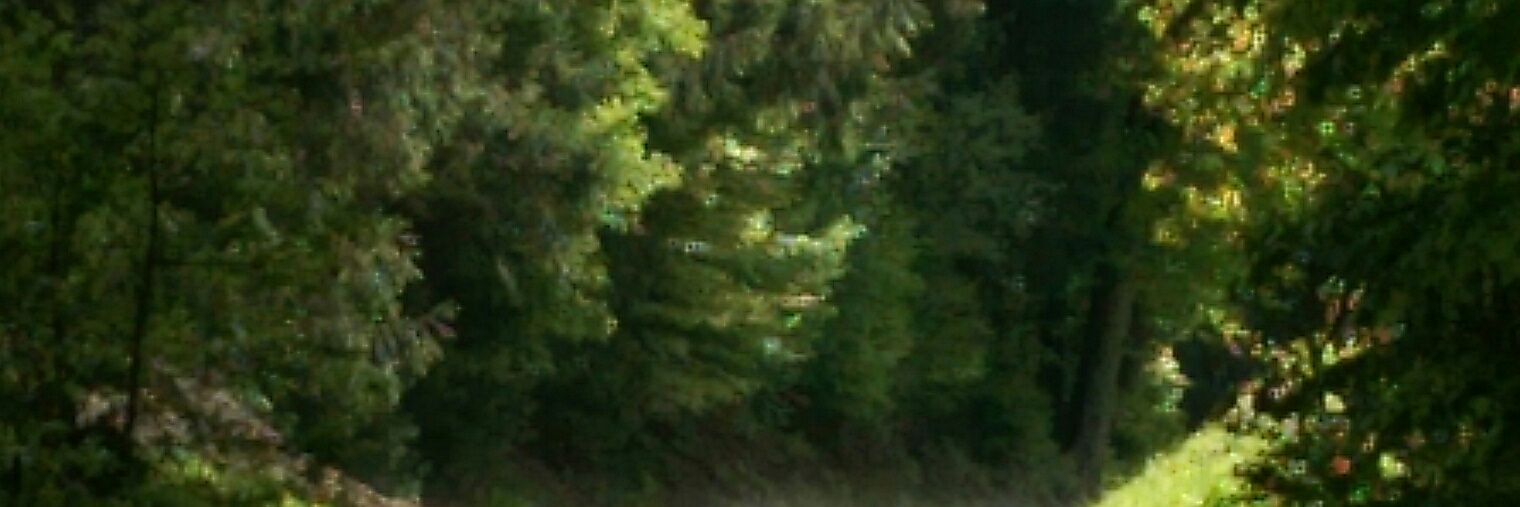 Steffen Wendzel banner