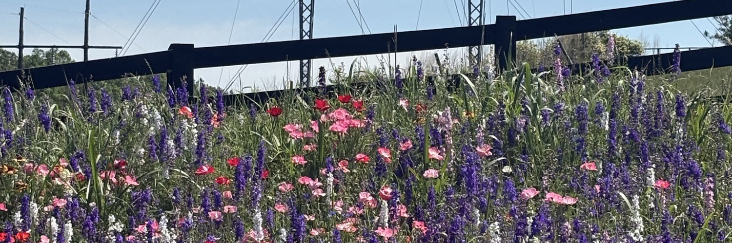 Damn Social Media banner
