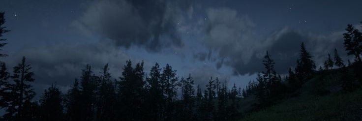 another life banner